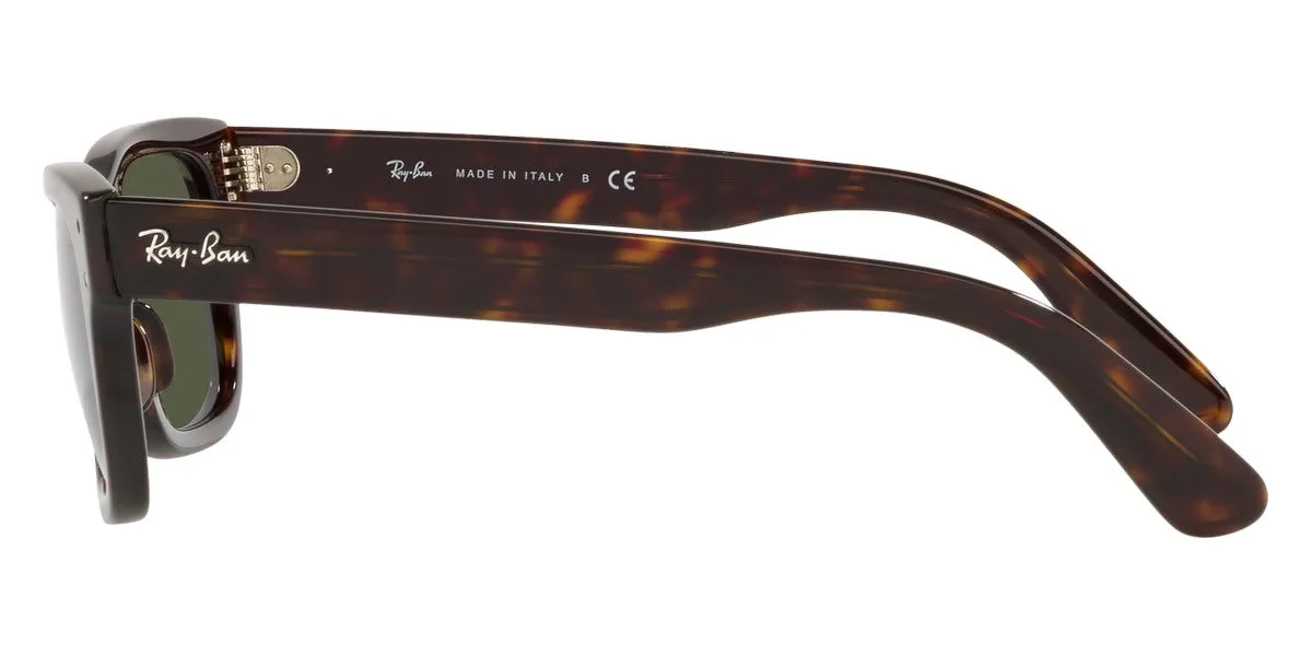 Ray-Ban® Mr BuRBank RB2283F