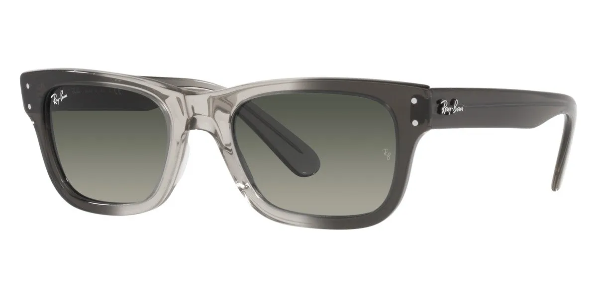Ray-Ban® Mr BuRBank RB2283F