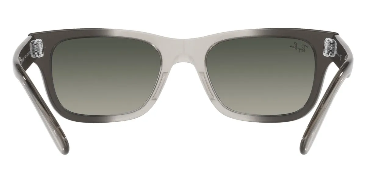 Ray-Ban® Mr BuRBank RB2283F