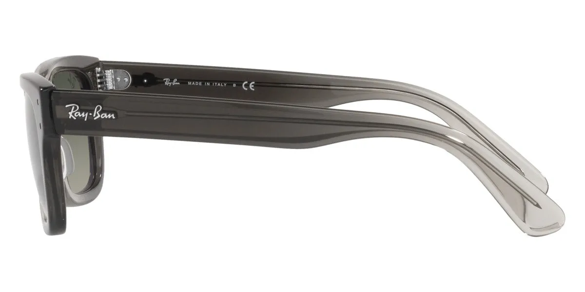 Ray-Ban® Mr BuRBank RB2283F