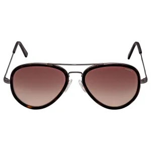 Unisex Concorde Fusion Black Gunmetal Frame Matte Dark Havana Lens Oval Full-Rim Sunglasses - CI004