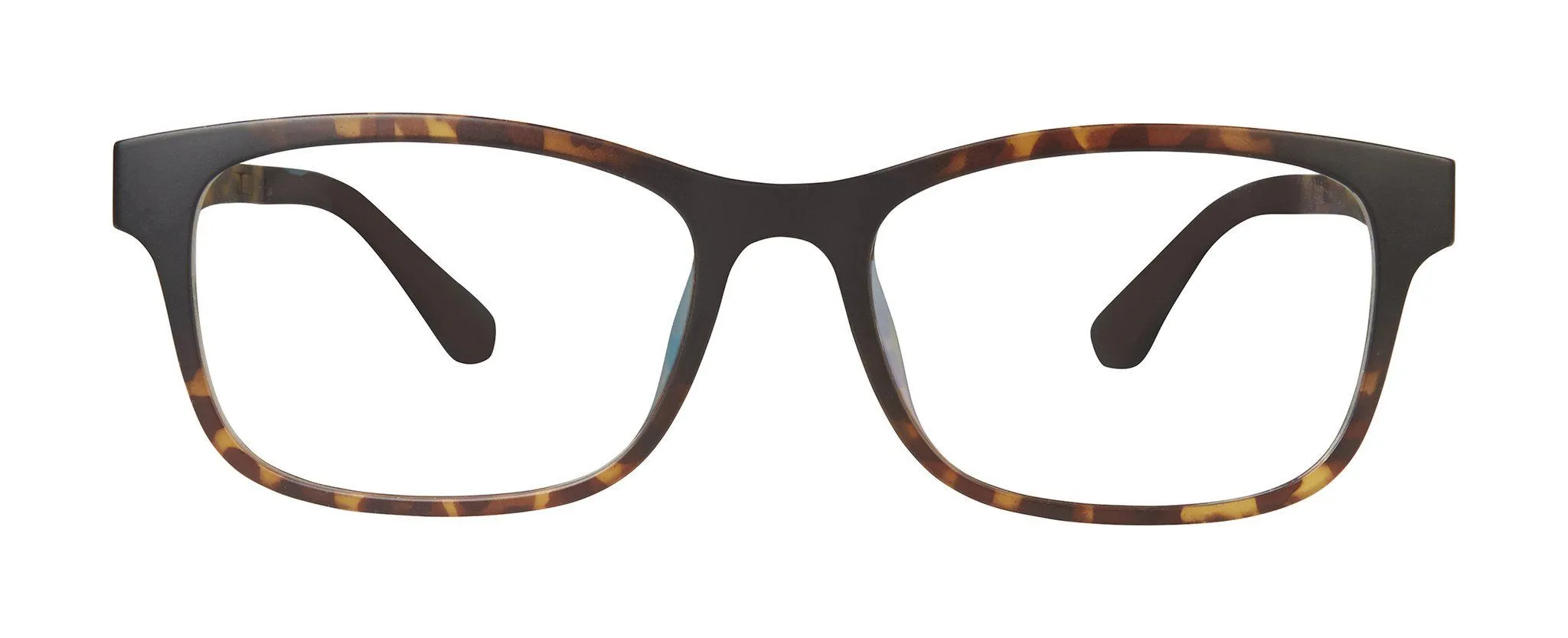 VC-1 Tortoise with Polarized Clip