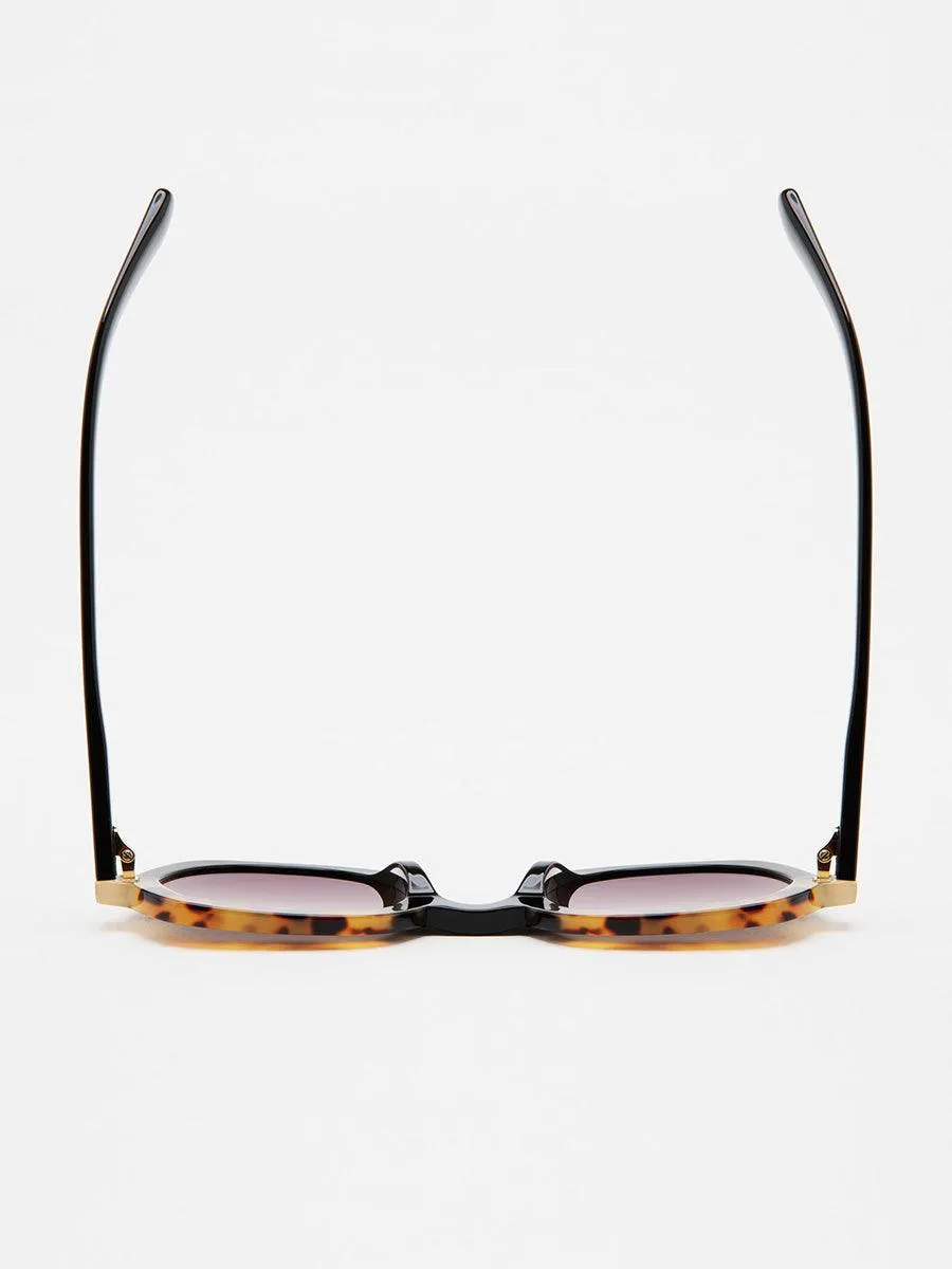 Webb 1 sunglasses